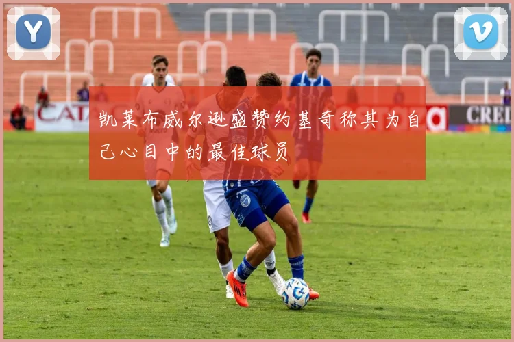 凯莱布威尔逊盛赞约基奇称其为自己心目中的最佳球员