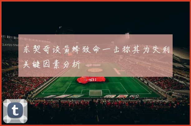 东契奇谈黄蜂致命一击称其为失利关键因素分析